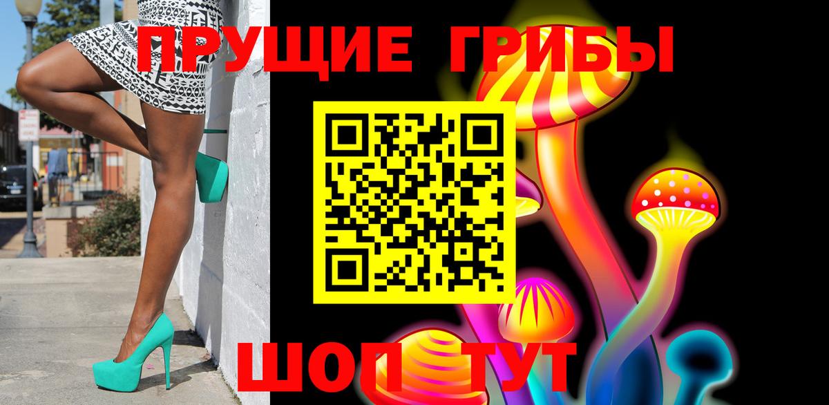 купить наркотики сайты  Галлюциногенные грибы ЛСД  Вход с VPN  Прохладный  Галлюциногенные грибы GOLDEN TEACHER 