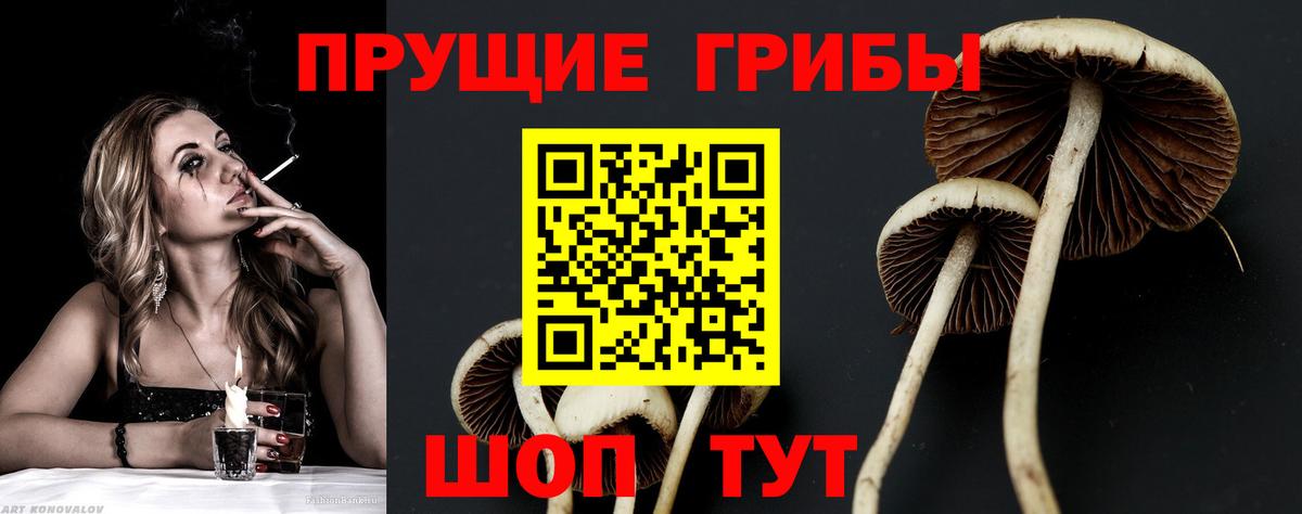 Псилоцибиновые грибы прущие грибы Прохладный
